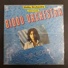 BIDDU ORCHESTRA / RAIN FOREST