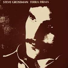 STEVE GROSSMAN / TERRA FIRMA